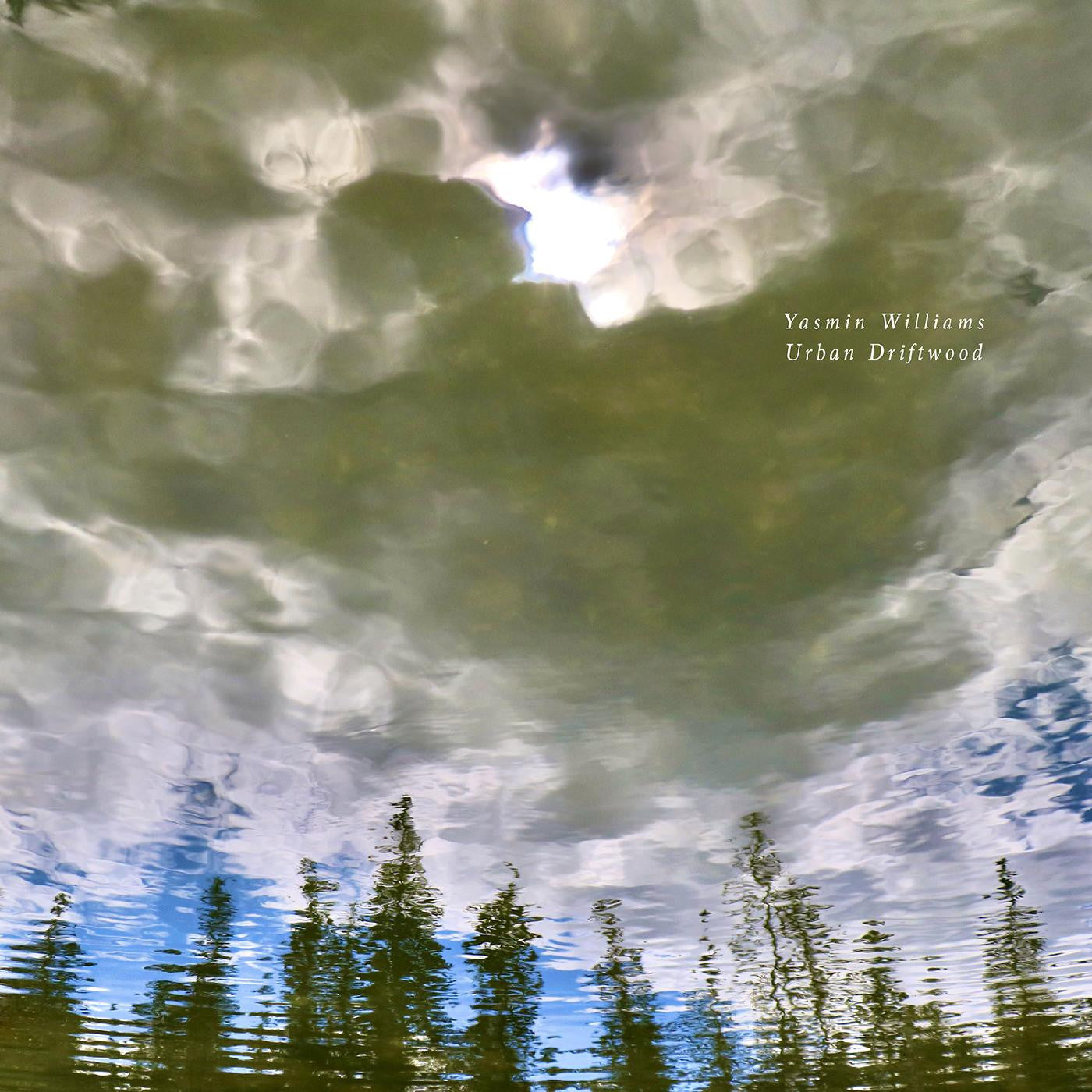 WILLIAMS, YASMIN - URBAN DRIFTWOOD