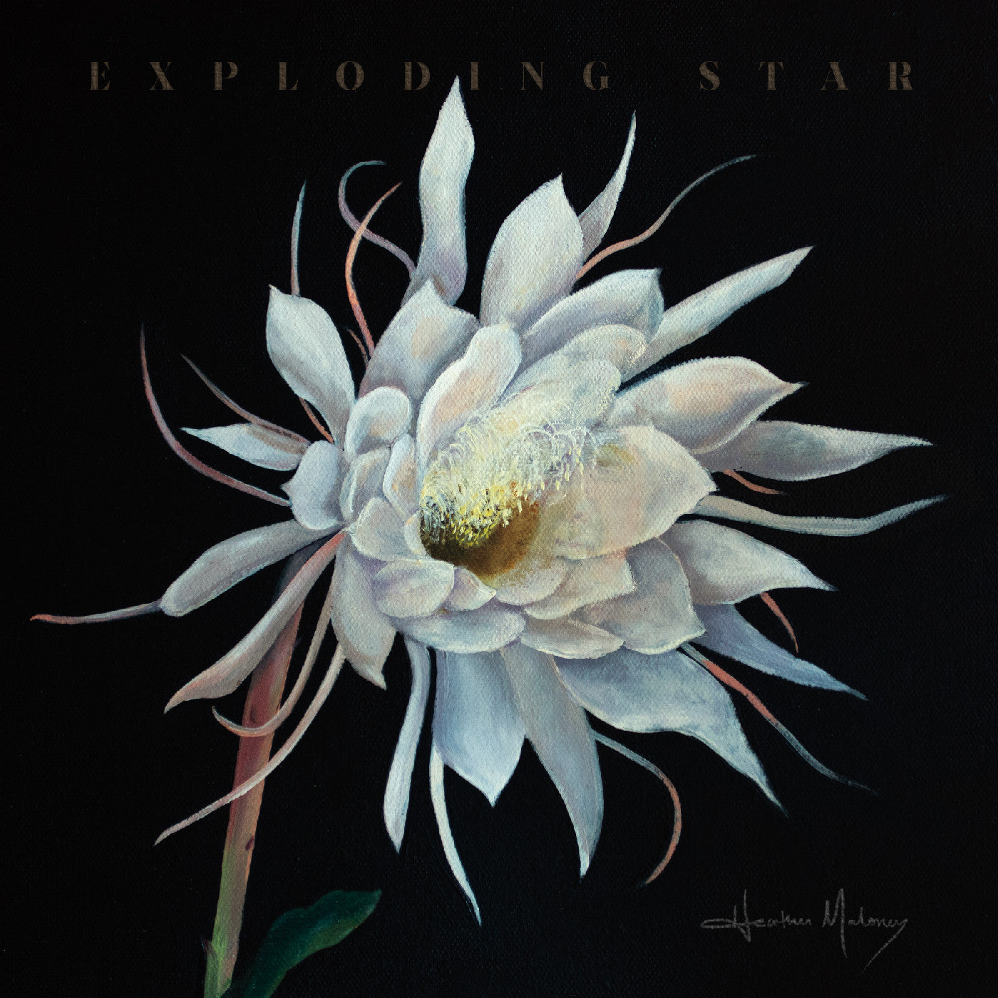 MALONEY, HEATHER - EXPLODING STAR