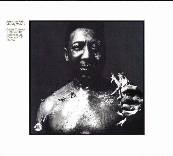 WATERS, MUDDY - AFTER THE RAIN