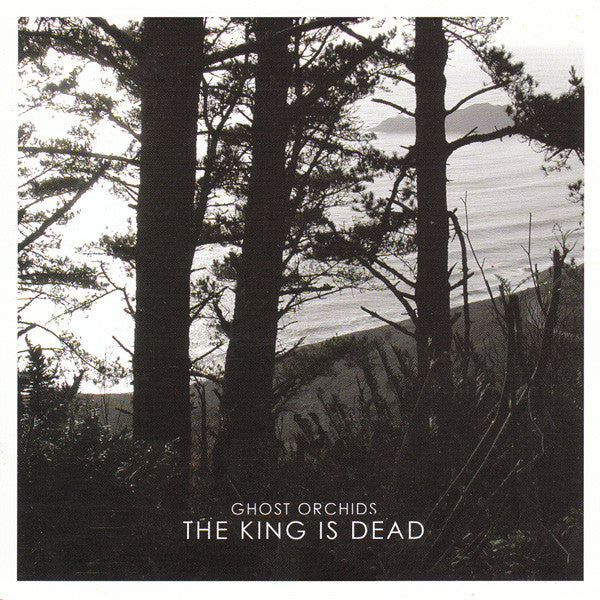 GHOST ORCHIDS - KING IS DEAD