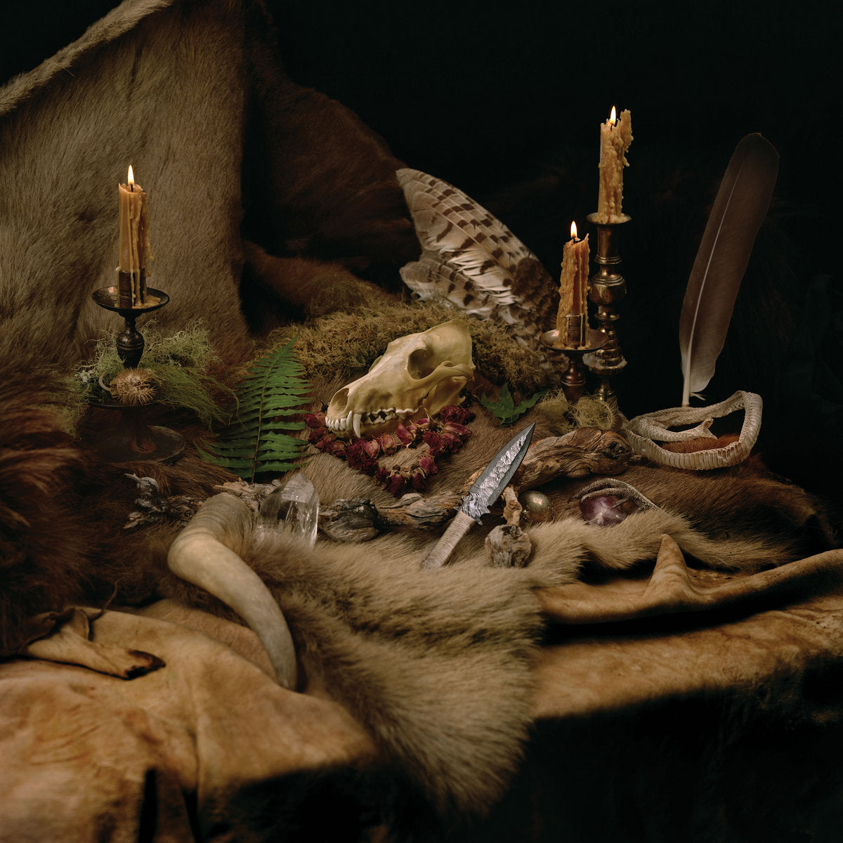 WOLVES IN THE THRONE ROOM - PRIMORDIAL ARCANA