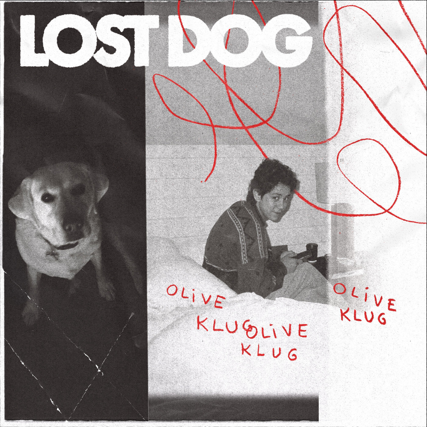 KLUG, OLIVE - LOST DOG