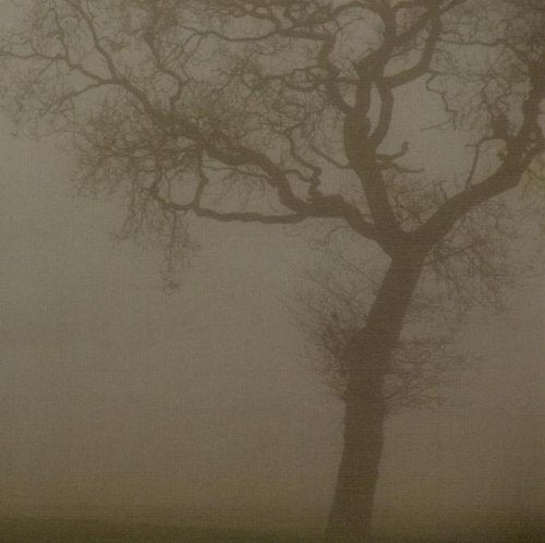 JESU - SILVER