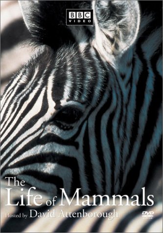LIFE OF MAMMALS - DVD-VOLUME 1