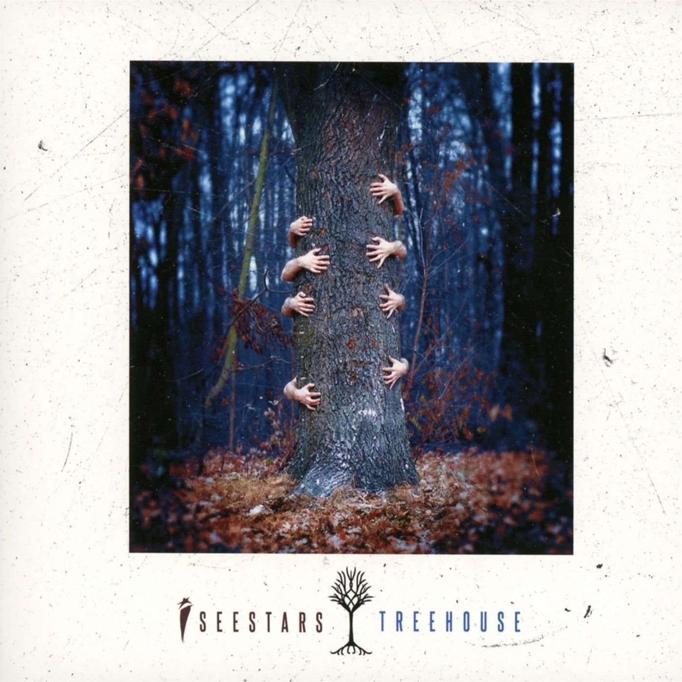 I SEE STARS - TREEHOUSE