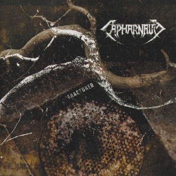 CAPHARNAUM - FRACTURED