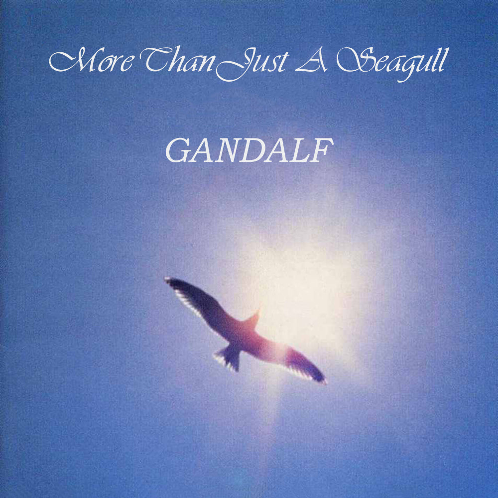 GANDALF - MORE THAN JUST A SEAGULL