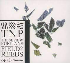 THESE NEW PURITANS - FIELD OF REEDS