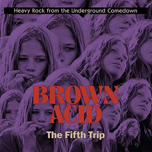 VARIOUS ARTISTS - BROWN ACID - THE FIFTH TRIP (CD)