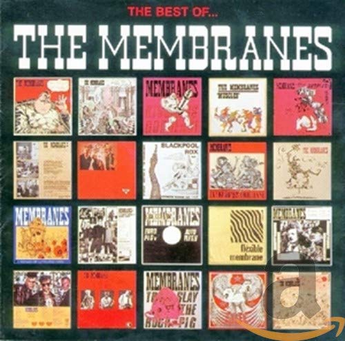 MEMBRANES - BEST OF (CD)