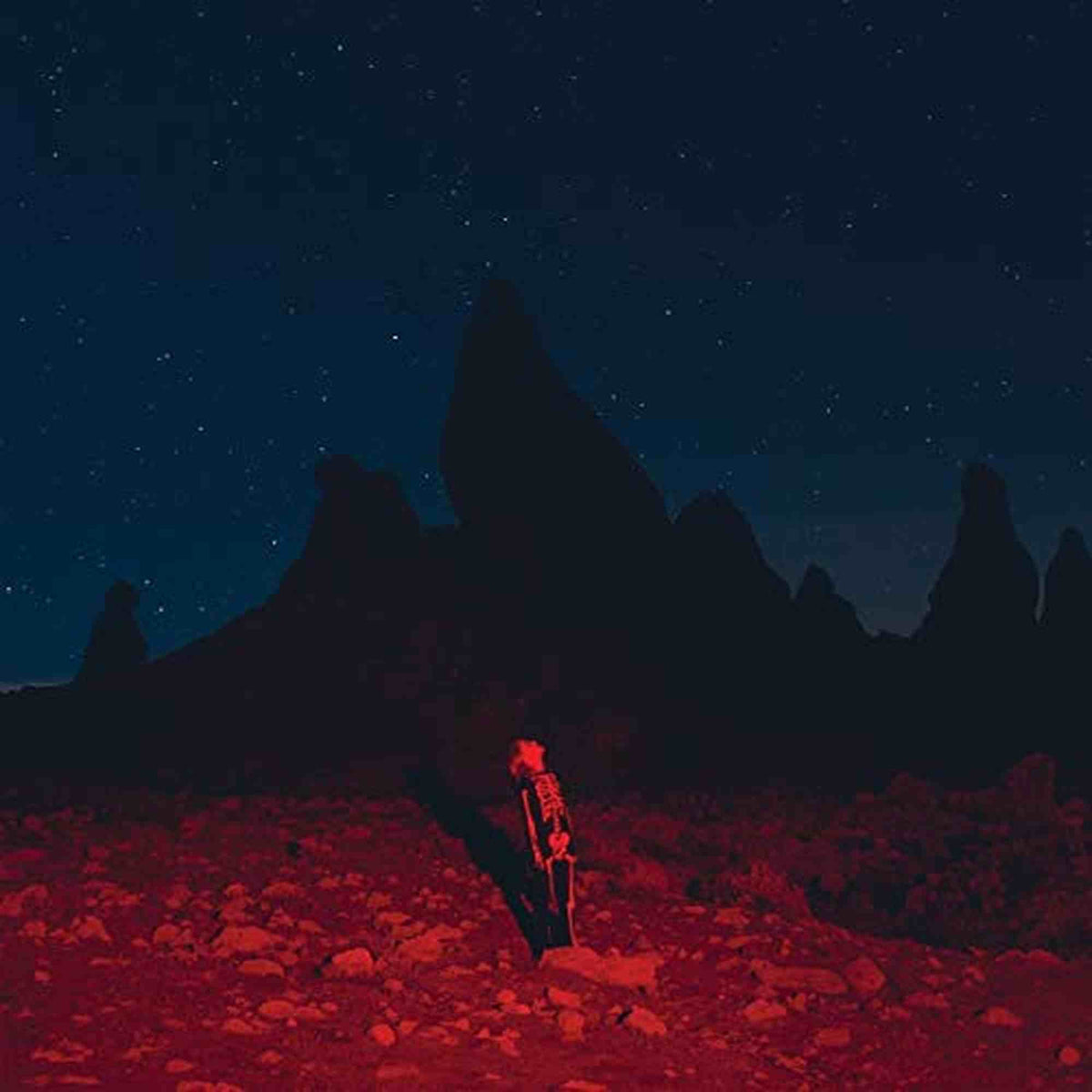 BRIDGERS,PHOEBE - PUNISHER (VINYL)