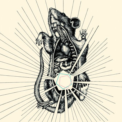 CAPRICORNS - RIVER BEAR YOUR BONES (CD)