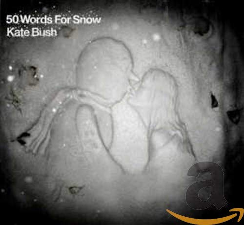 KATE BUSH - 50 WORDS FOR SNOW (CD)