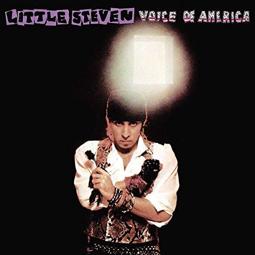 LITTLE STEVEN - VOICE OF AMERICA (CD+DVD) (CD)