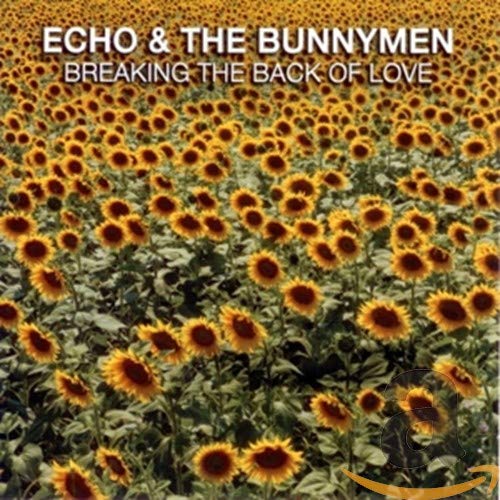 ECHO & THE BUNNYMEN - BREAKING THE BACK OF LOVE