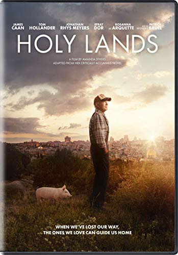 HOLY LANDS - DVD