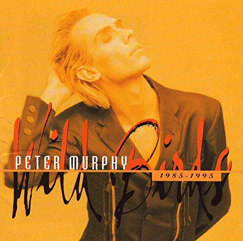 MURPHY,PETER - WILD BIRDS 1985-1995: BEST OF BEGGARS BANQUET YEARS (CD)