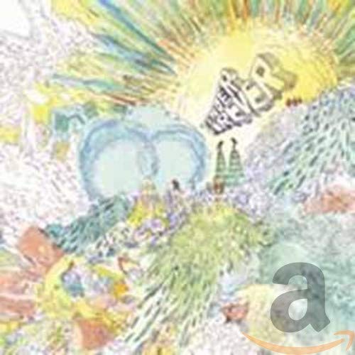 TENDER FOREVER - SOFT & HARDCORE (CD)
