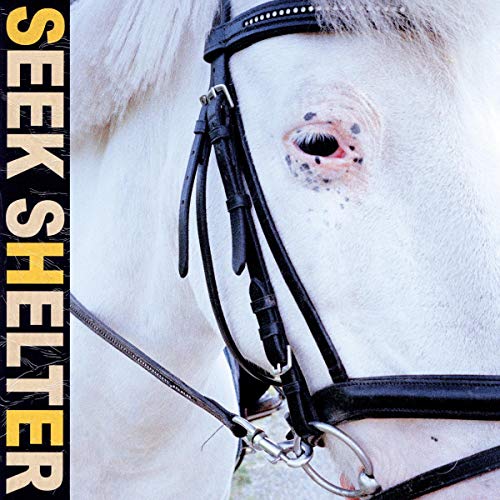 ICEAGE - SEEK SHELTER (VINYL)