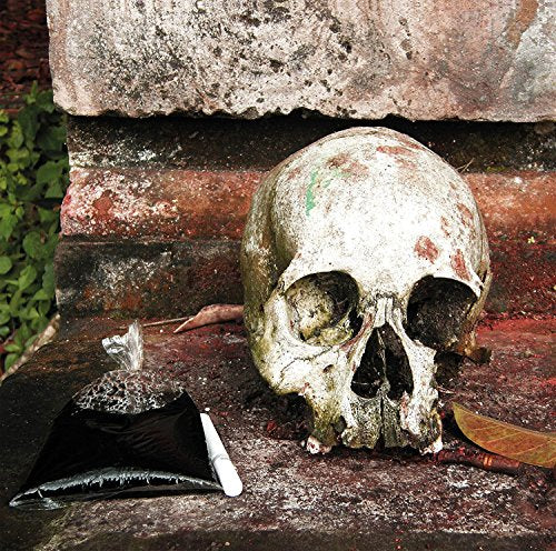 VARIOUS ARTISTS - GAMELAN OF THE WALKING WARRIORS: GAMELAN BELEGANJUR &THE MUSIC OF THE NGABEN FUNERARY RITUAL IN BALI (VINYL)