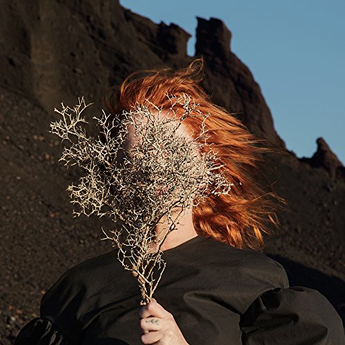 GOLDFRAPP - SILVER EYE (CD)