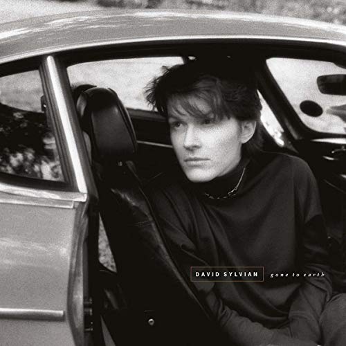 SYLVIAN, DAVID - GONE TO EARTH (VINYL)