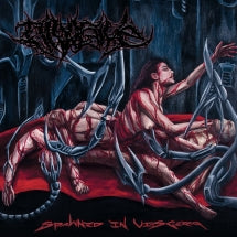DIVULSIVE - SPAWNED IN VISCERA [CD]