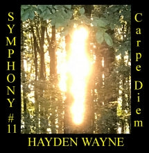 HAYDEN WAYNE - SYMPHONY #11: CARPE DIEM [CD]