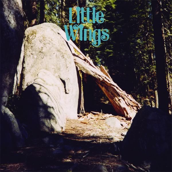 LITTLE WINGS  - DISCOVER WORLDS OF WONDER