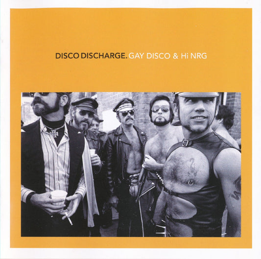 VARIOUS  - DISCO DISCHARGE: GAY DISCO