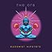 THE ORB - BUDDHIST HIPSTERS