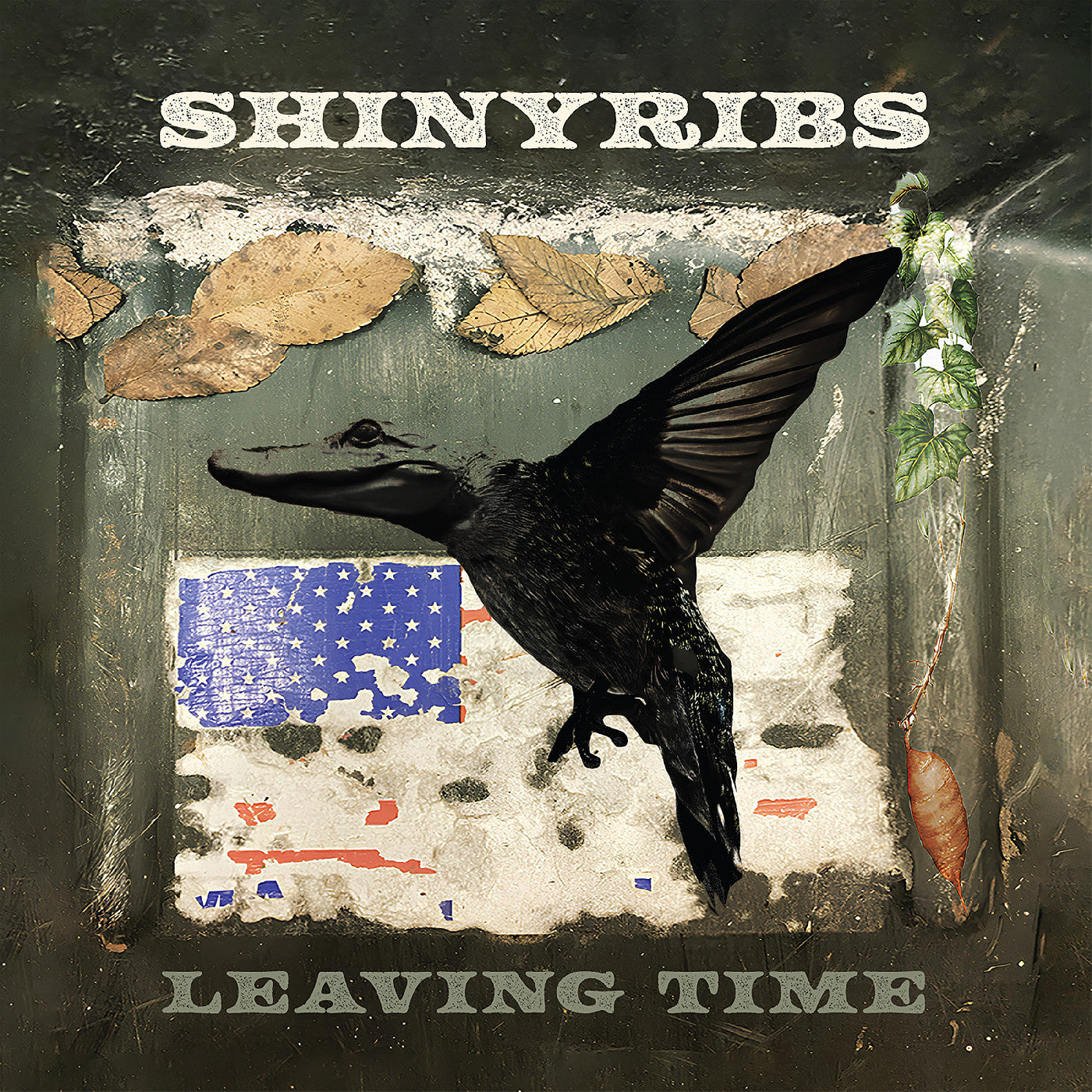 SHINYRIBS - LEAVING TIME
