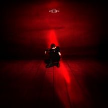 PIG - RED ROOM [CD]