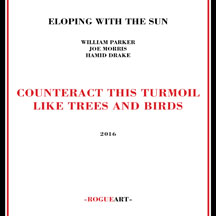 ELOPING WITH THE SUN - COUNTERACT THIS TURMOIL LIKE TREES AND BIRDS [CD]