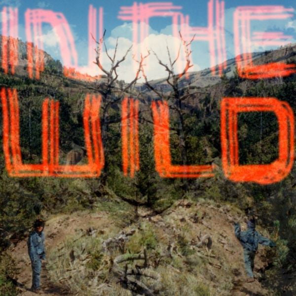FALTYDL - IN THE WILD