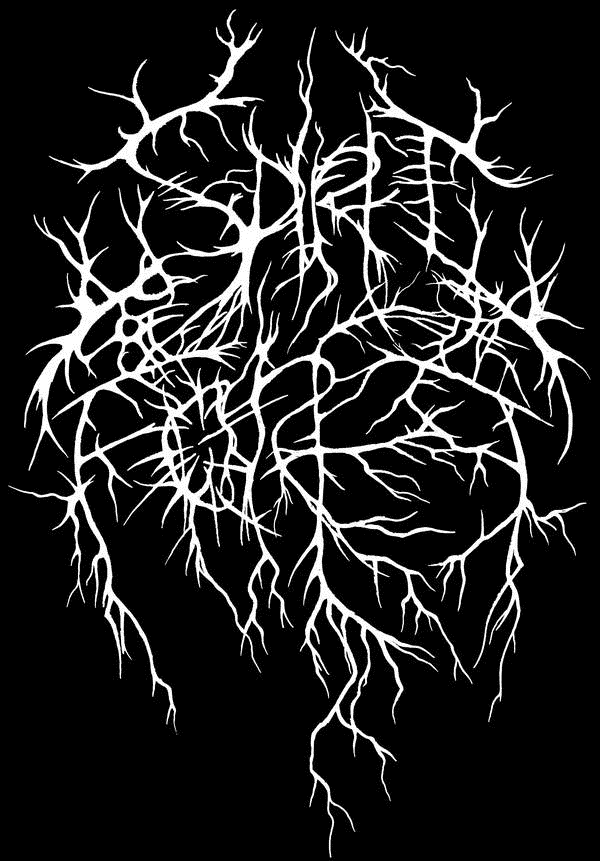SPIRIT OF THE FOREST  - A BREW OF LIGHTNING