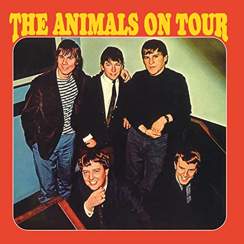 ANIMALS - ON TOUR