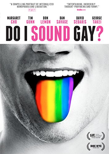 DO I SOUND GAY?  - DVD-DOCUMENTARY