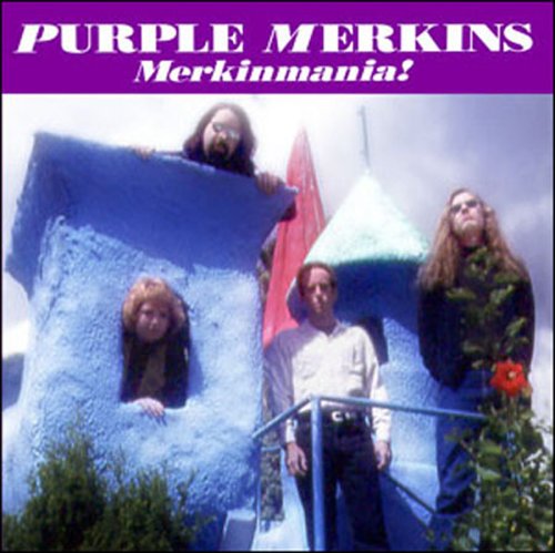 PURPLE MOUNTAINS - MERKINMANIA
