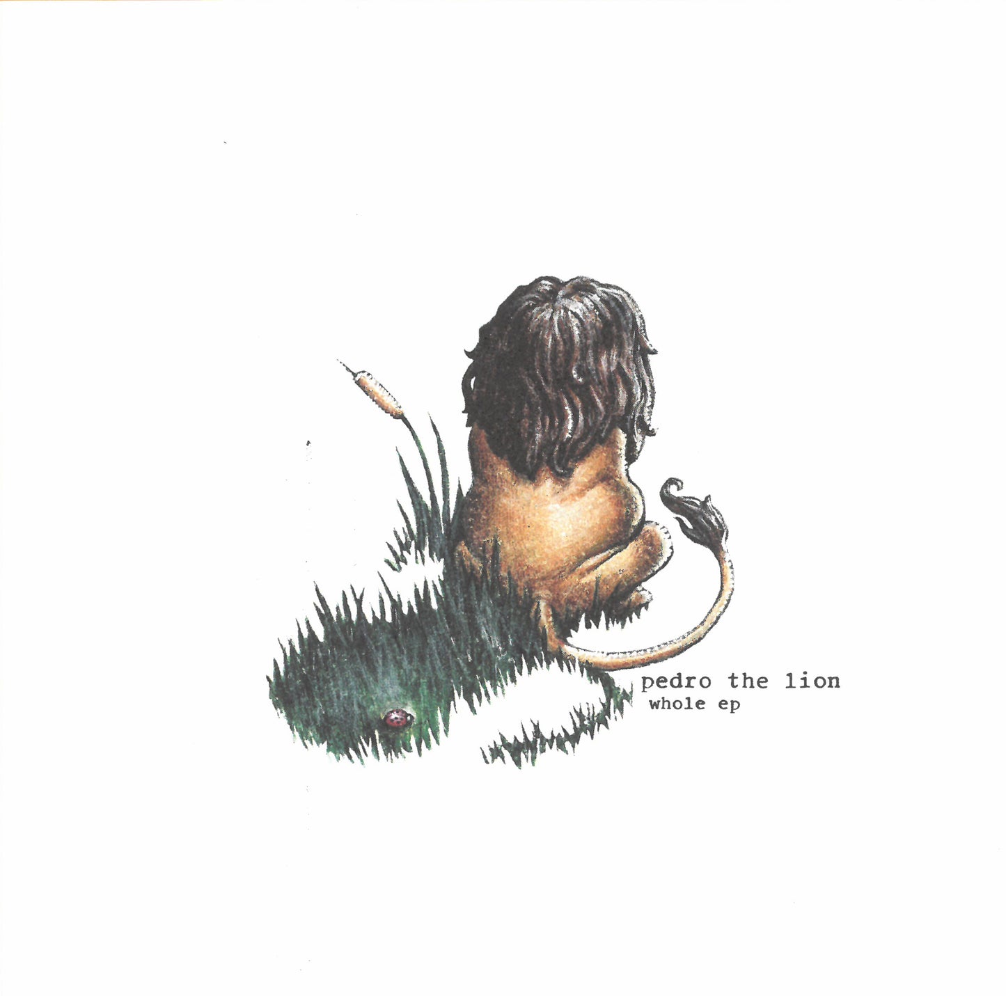 PEDRO THE LION  - WHOLE