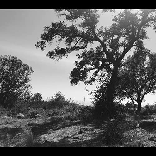ZOH AMBA - O, SUN (CD)