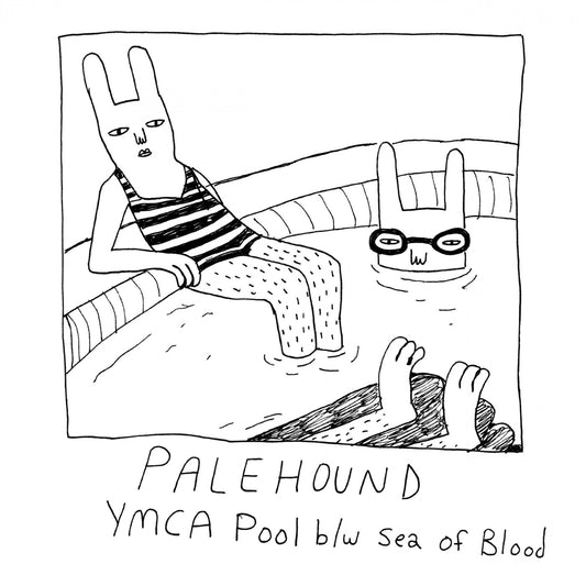 PALEHOUND - YMCA POOL