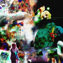 ACIDHEAD - DISTRACTIONS [LP]