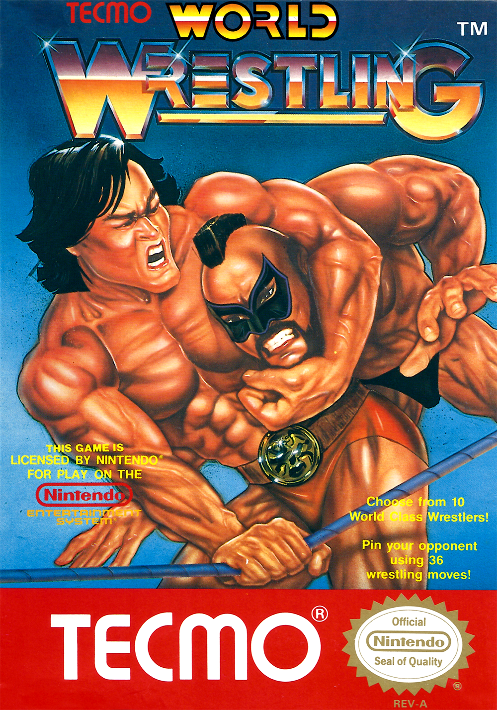 TECMO WORLD WRESTLING  - NES