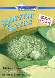 SUMMERTIME SLEEPERS [DVD]