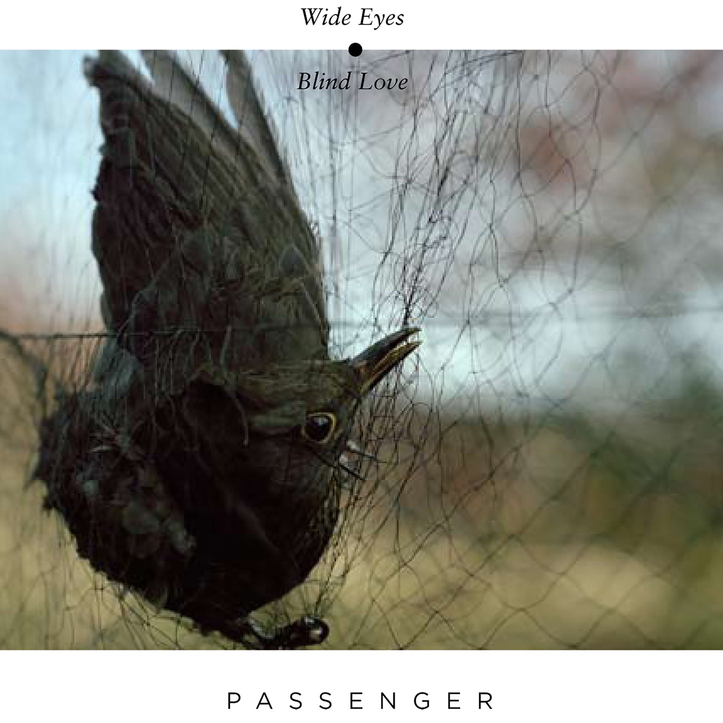 PASSENGER  - WIDE EYES BLIND LOVE