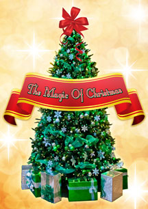 MAGIC OF CHRISTMAS [DVD]