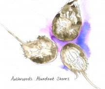 ANTHROPODS - ABUNDANT SHORES [CD]