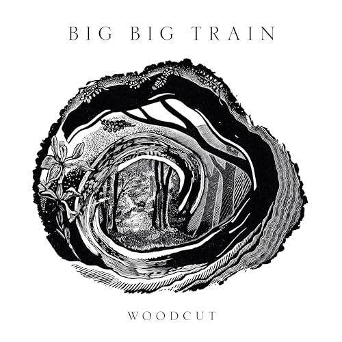 BIG BIG TRAIN - WOODCUT (STANDARD JEWELCASE) (CD)
