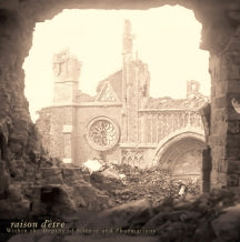 RAISON D'êTRE - WITHIN THE DEPTHS OF SILENCE AND PHORMATIONS [LIMITED DOUBLE BLACK VINYL IN GATEFOLD] [LP]